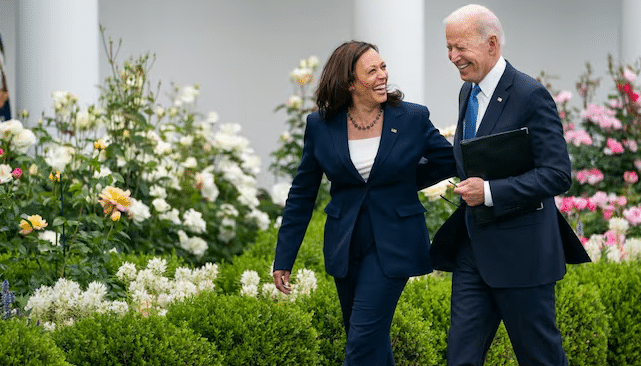 2024 Presidential Election