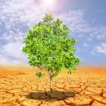 stories of resilience