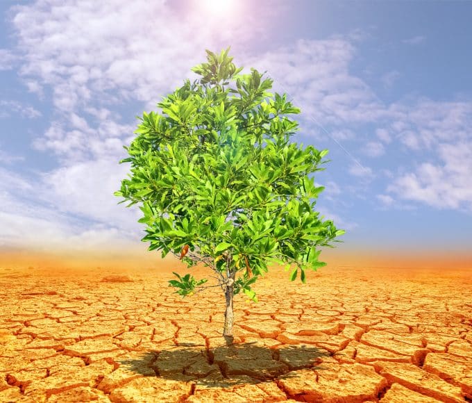 stories of resilience